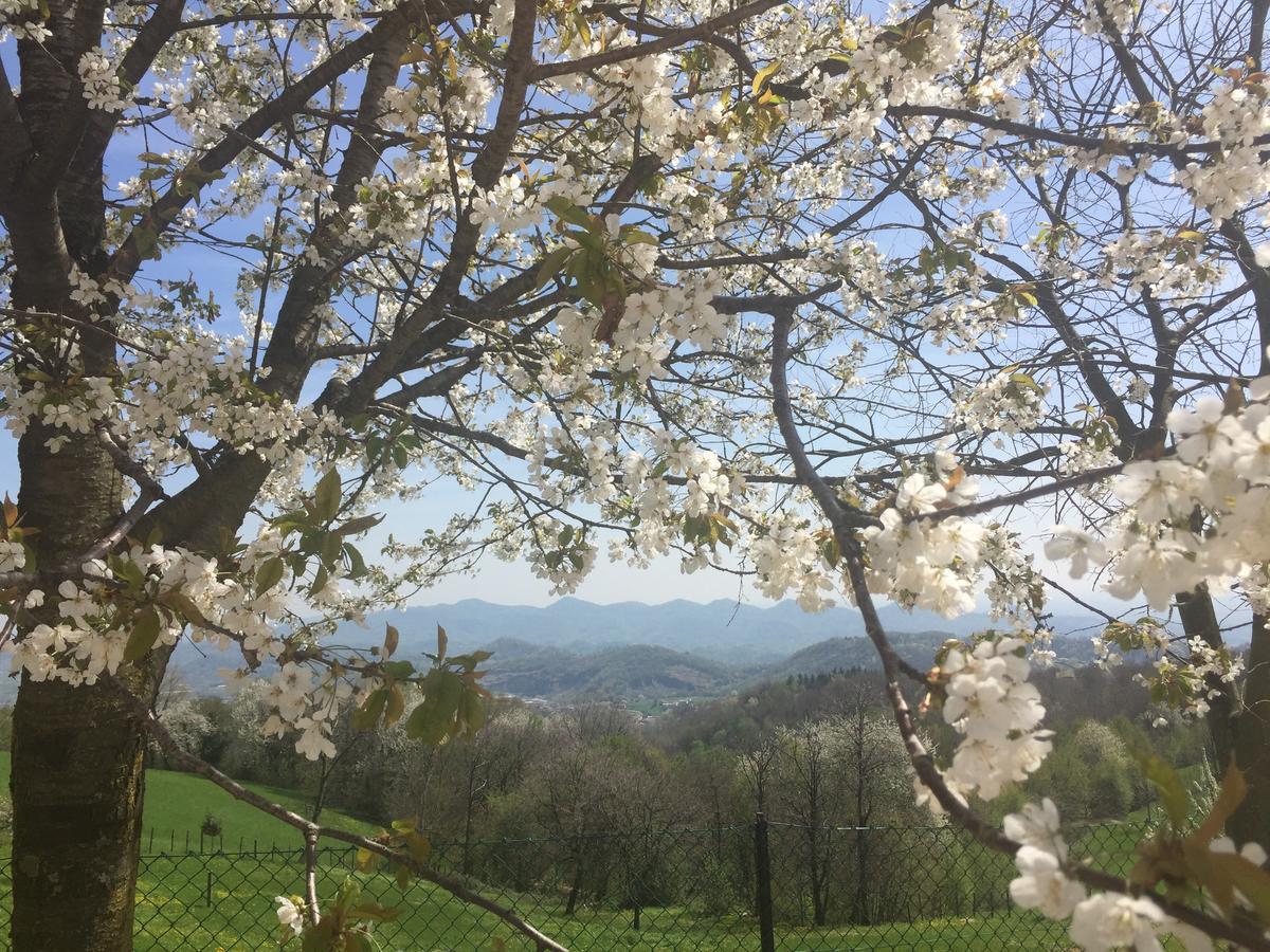 Boccaor Lägenhet Paderno del Grappa Exteriör bild