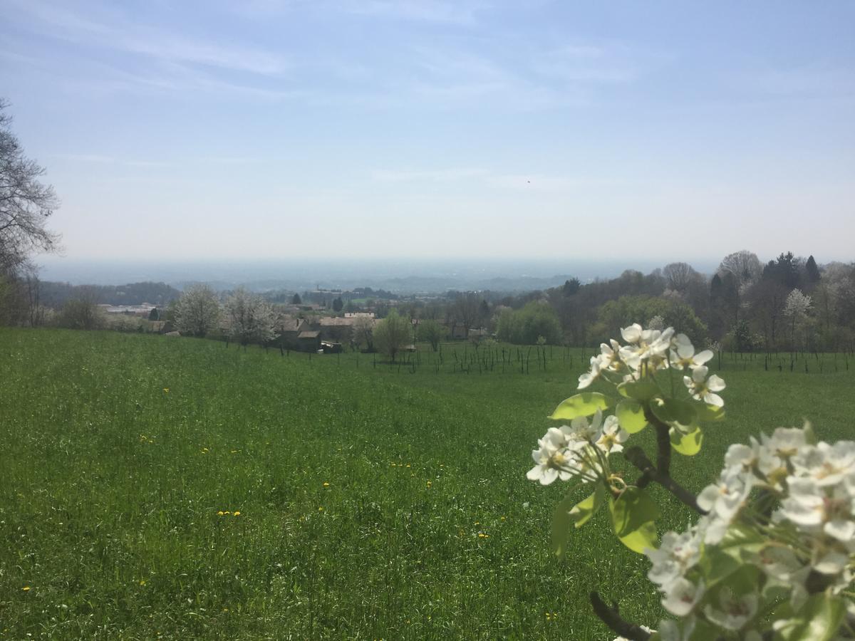 Boccaor Lägenhet Paderno del Grappa Exteriör bild